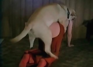 Awesome dog sex action with a zoophile