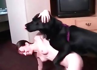 Black dog enjoys a dirty penetration