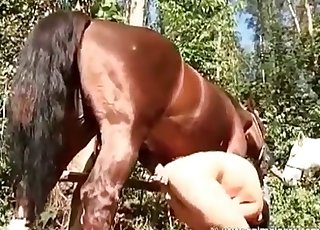 Brown mare is enjoying bestial porn