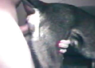 Dude shoves his cock up this tight hole