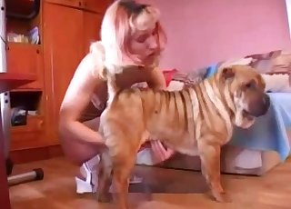 Extremt het behandling av en knullig hund med varm spotta och djurisk passion