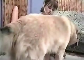 Slut gets banged by a horny dog