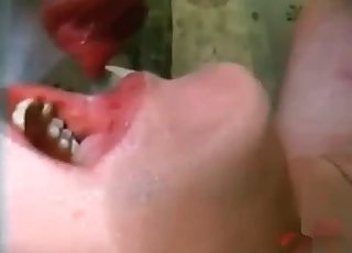 Wife cheats on me with a labrador