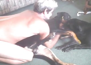 Sexy black dogs in perverted bestiality XXX