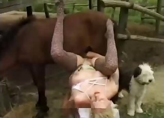 Sexy big stallion fucking her wet vagina