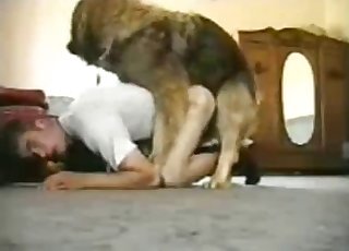 On all fours, waiting for dog's cock