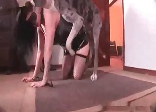 Sexy doggy and perverted zoophiles