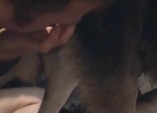 Sucking doggy dick with passion