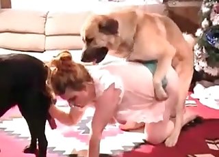 Amazing doggy loving her juicy vagina