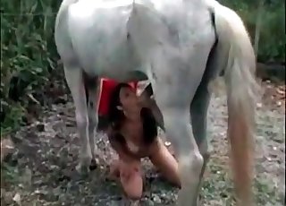 Dark-haired chick devouring horse cock