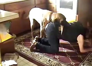Beautiful dog fucked her wet hole