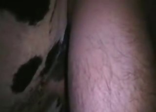 Sweaty close-ups showing bestiality