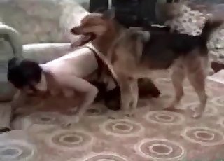 Dog is having nasty action with my wife