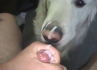Dude skull-fucking his horny dog