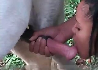 Ebony is sucking a very huge horse dick