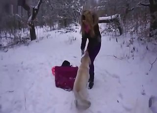 Shades-wearing amateur sucking dog cock
