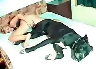 Awesome dog sex action in ass to ass pose