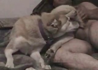 在卧室里，深情地撞击着我心爱的狗狗，感受着她温热的身体和柔软的毛发，爱意与欲望在空气中弥漫，每一寸肌肤都洋溢着幸福。