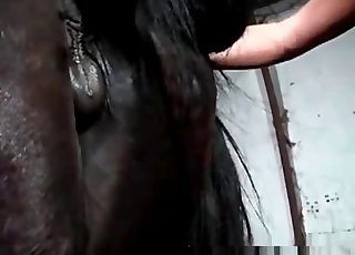 Slutty girl happily fingering horse's pussy