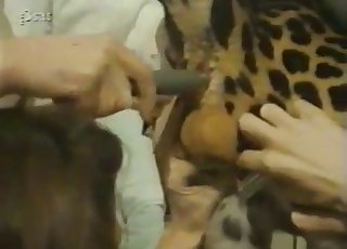 Leopard's sexy hole gets fingered