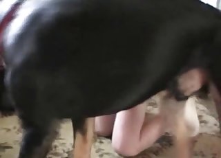 最も激しい獣姦セックス。動物の熱い息と力強い動きで、人間の体中を駆け巡る本能の興奮。