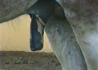 That cock is gonna get bigger and bigger