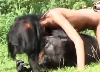 Outdoors bestiality action in HD