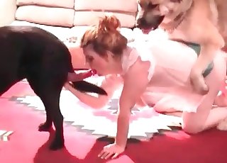 Awesome dogs are drilling her cracks