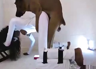 Perfect ebony bangs with a very big dog
