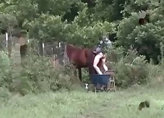 Anal fun for a horse