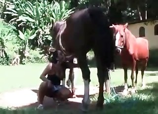 Horses enjoying hardcore sex in the open