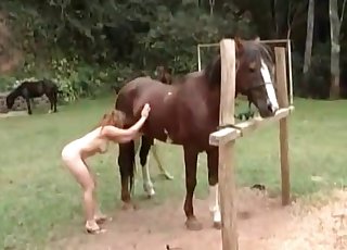 Two sexy chicks and amazing stallion