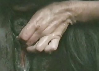 Farmer shoves his hand in horse asshole