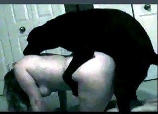 Very fat bitch bred by a very hung dog