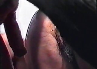 황홀한 아마추어 조필리아, 검은 동물이 깊은 열정으로 사랑을 나누는 장면