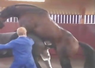 Watching two kinky beasts bang hard