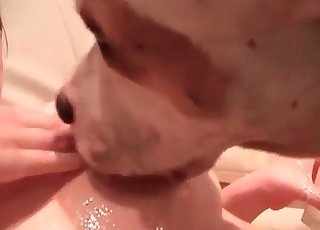 Cute pupper servicing that pussy