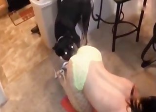 Masked big booty bitch and a dog