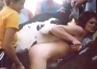 Cute sheep eats his corn on her pussy