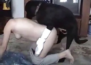 Stunning black dog fucked her wet cunt