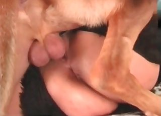 Asian chick sucking meaty dick of a dog