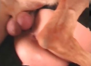 Asian chick sucking meaty dick of a dog