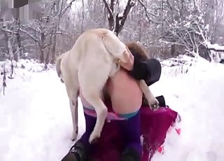 Outdoor sex on the snow with white dog
