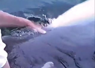 Awesome bestiality sex with a Dolphin