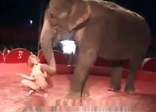 Naked girl is getting in the animal sex