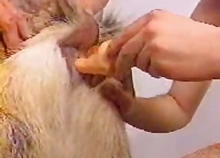 Dude sucking and fucking his own dog