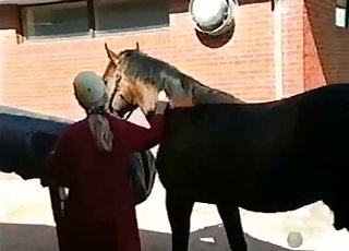 Sød jockey hjælper sin hest med at fucking rigtigt i den våde hestegård.