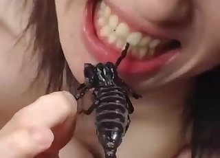Asian doll is playing with real insects