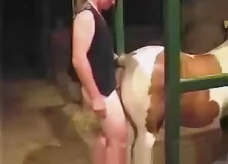 مؤخرة حصان أبيض في وضعية الكلب