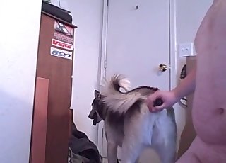 Stimulating tight anus of a sexy doggy